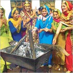 Lohri Celebration