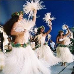 Pasifika Festival
